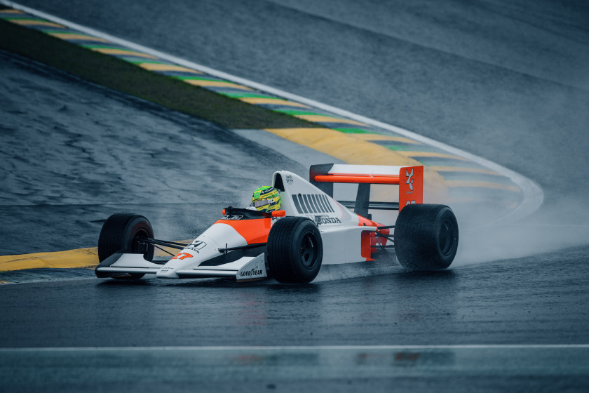 Macaque in the trees