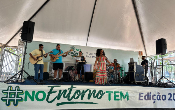 Macaque in the trees