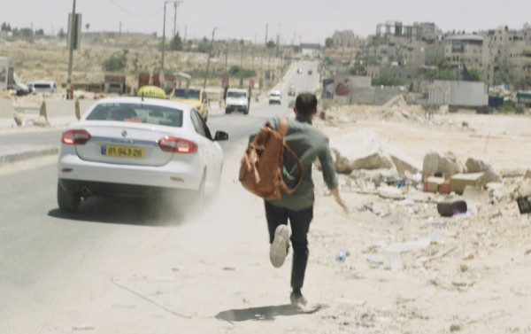 Macaque in the trees