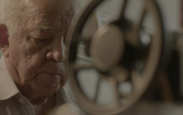 Macaque in the trees