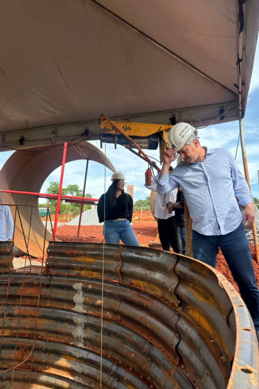 Macaque in the trees