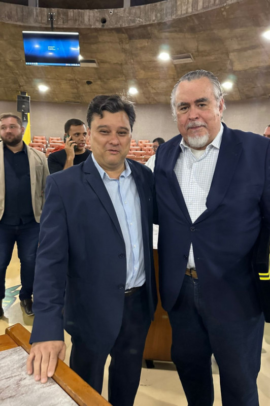 Macaque in the trees