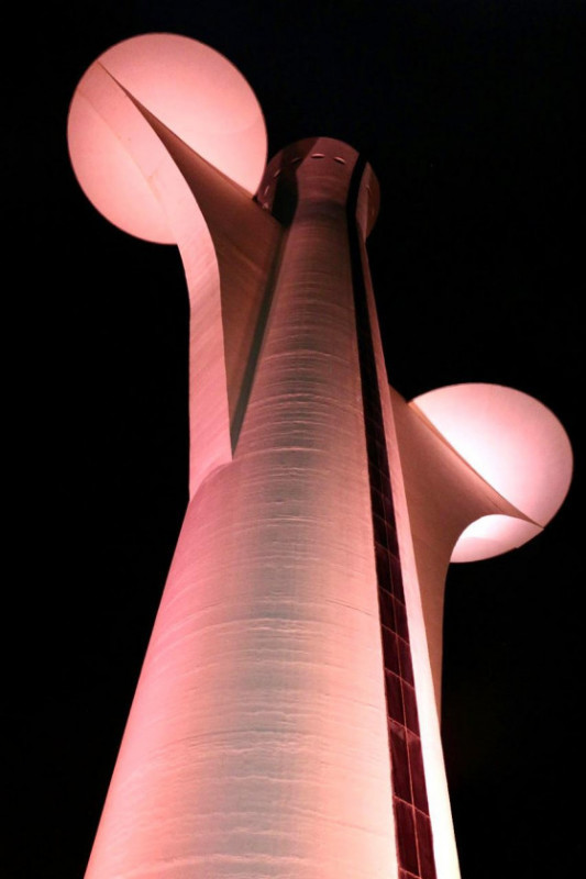 Macaque in the trees