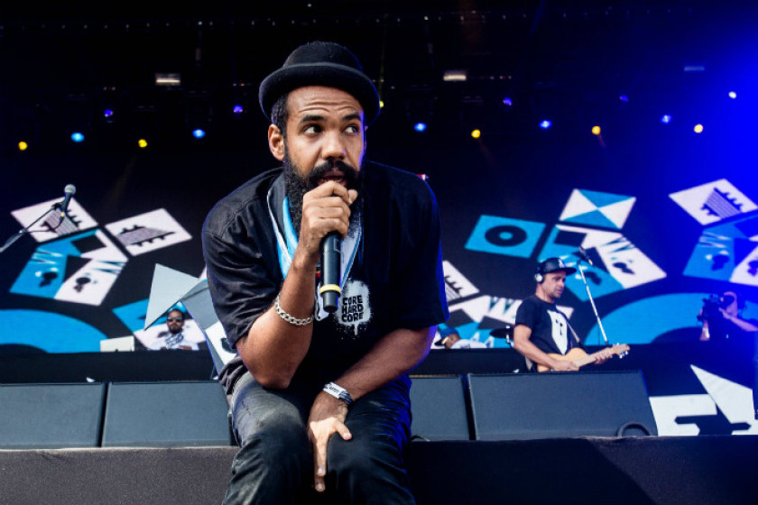 Macaque in the trees