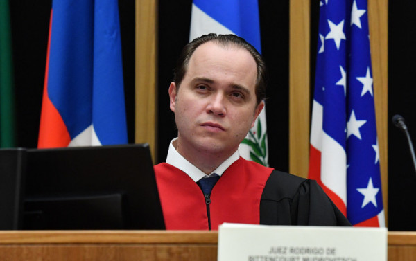 Macaque in the trees