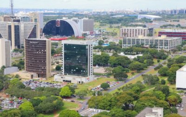 Macaque in the trees