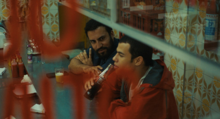 Macaque in the trees