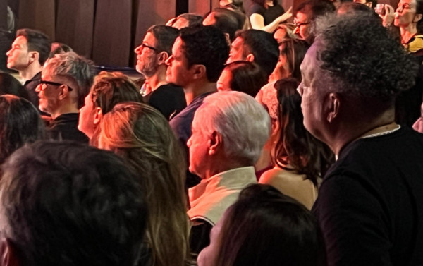 Macaque in the trees