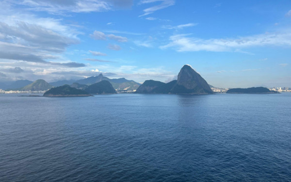 Macaque in the trees