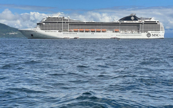 Macaque in the trees