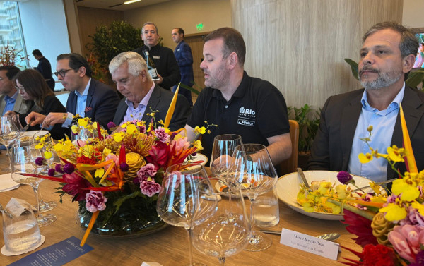 Macaque in the trees