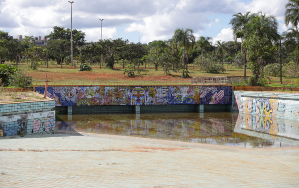 Macaque in the trees