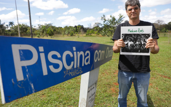Macaque in the trees