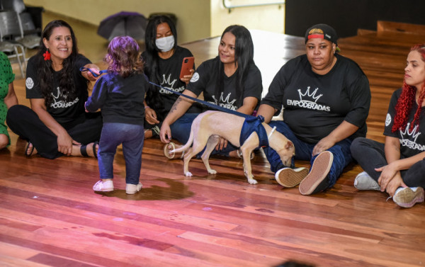 Macaque in the trees