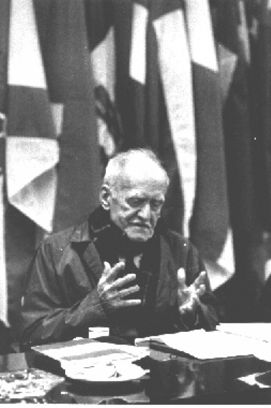 Macaque in the trees