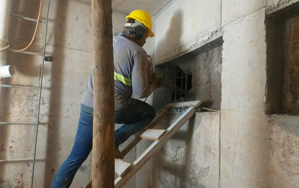 Macaque in the trees