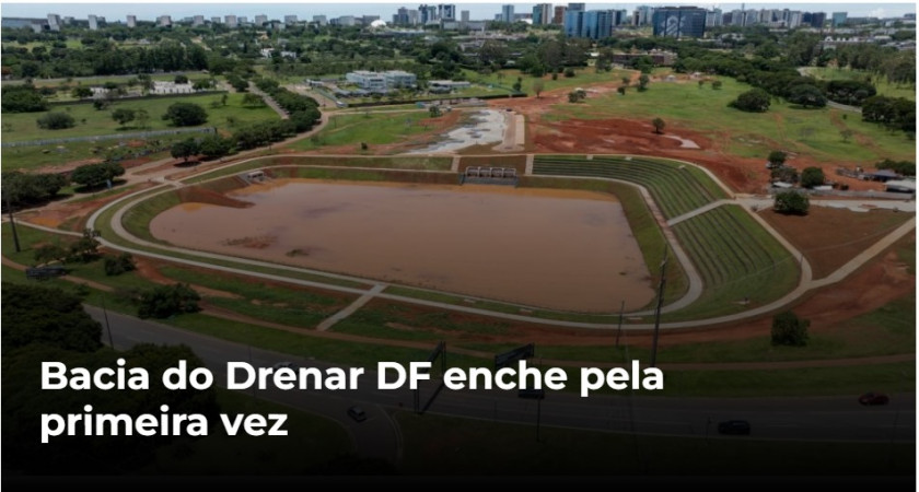 Macaque in the trees