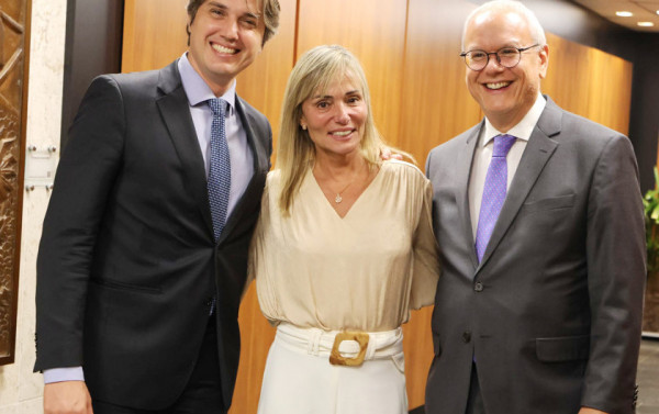 Macaque in the trees