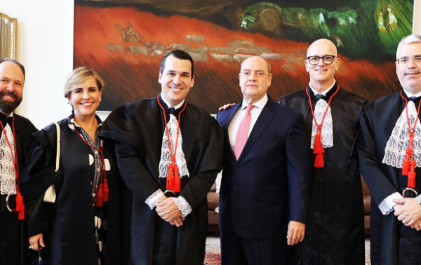 Macaque in the trees