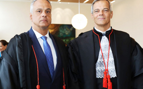 Macaque in the trees