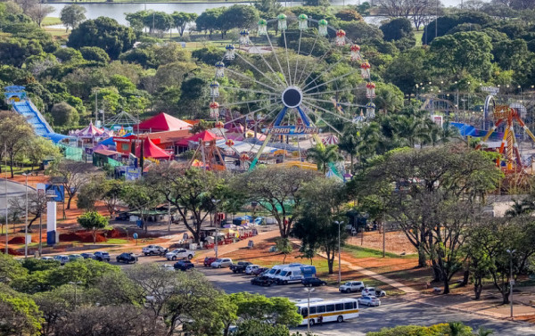 Macaque in the trees