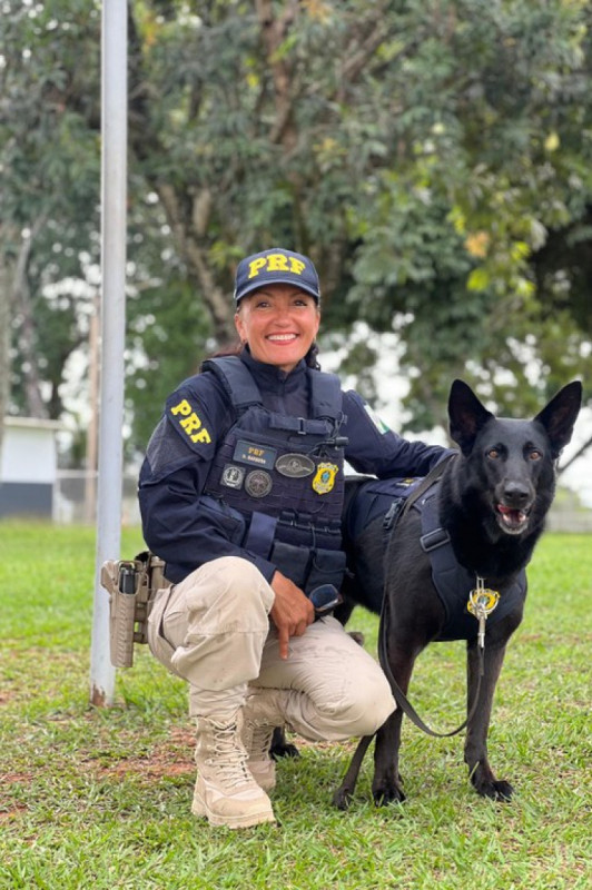 Macaque in the trees