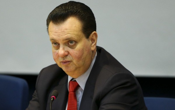 Macaque in the trees