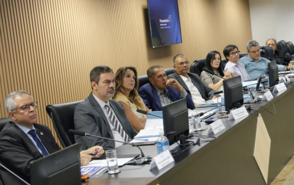 Macaque in the trees