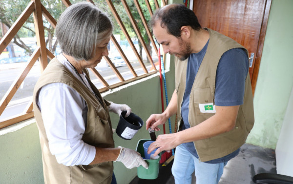 Macaque in the trees