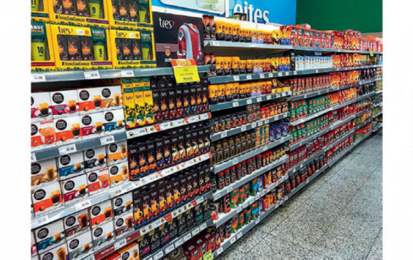 Macaque in the trees