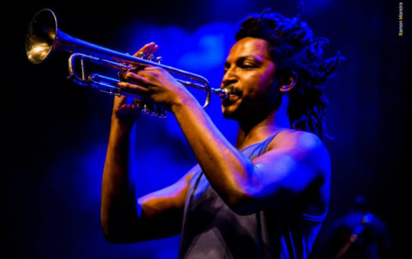 Macaque in the trees