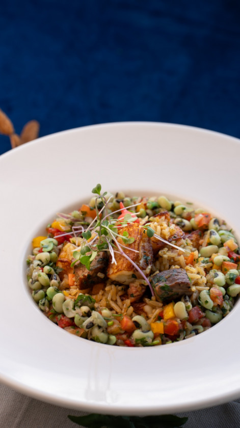 Macaque in the trees