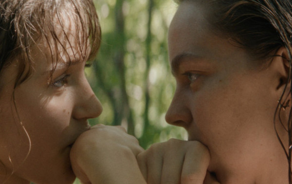 Macaque in the trees