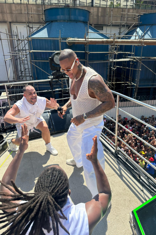 Macaque in the trees