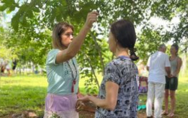 Macaque in the trees