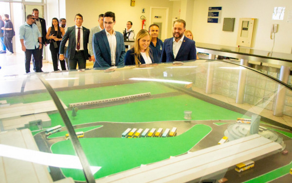 Macaque in the trees