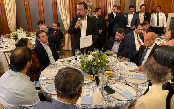 Macaque in the trees