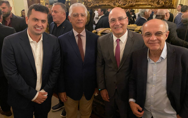 Macaque in the trees