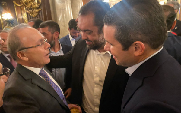 Macaque in the trees