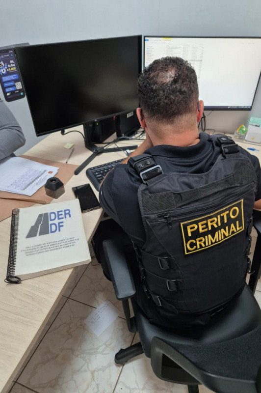 Macaque in the trees