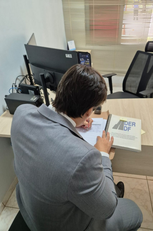 Macaque in the trees