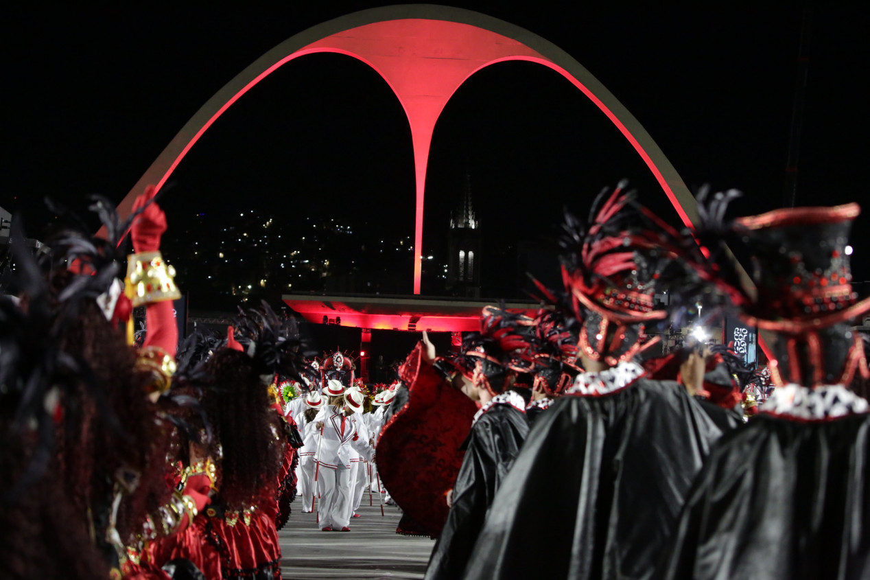 Macaque in the trees