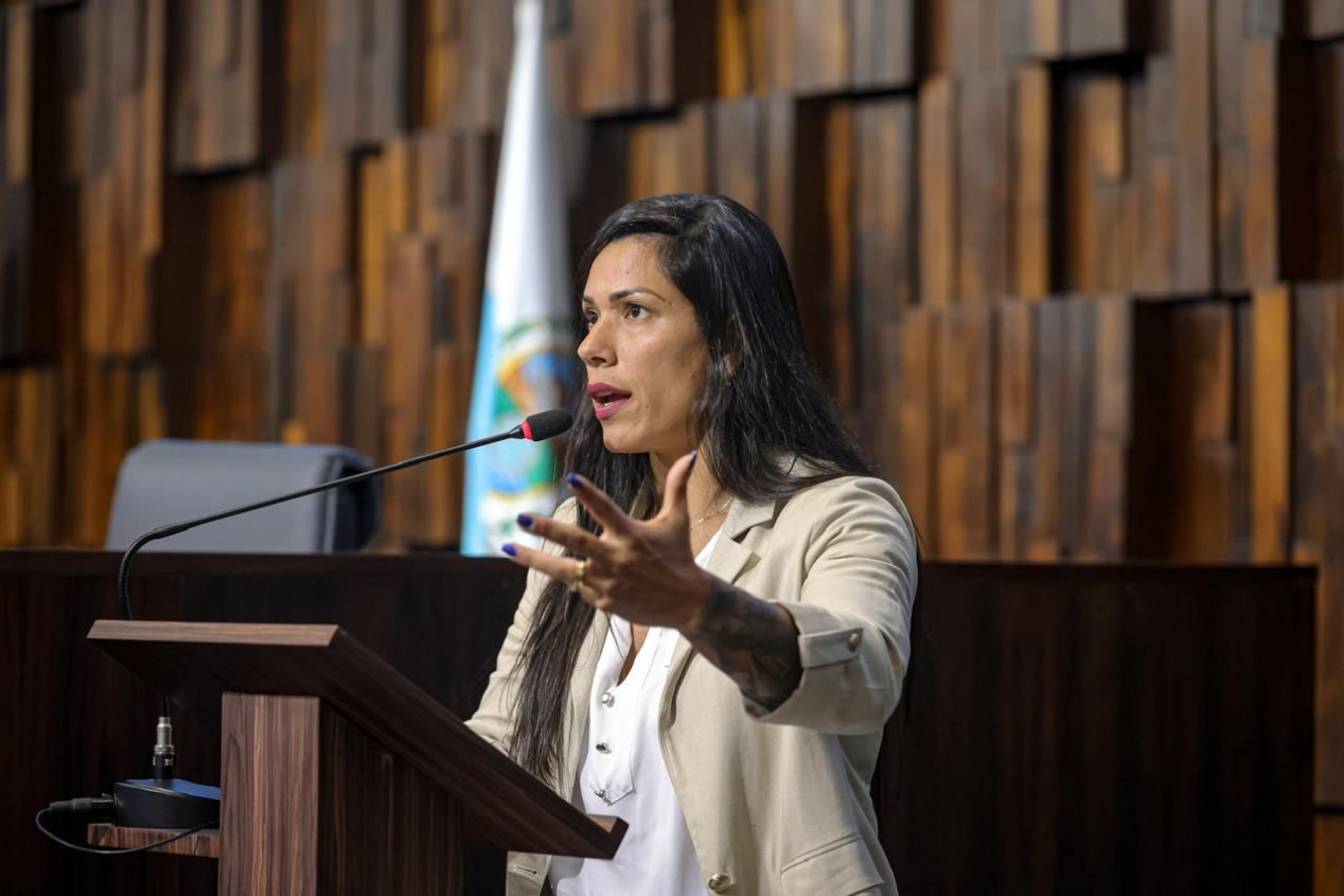 MPT processa deputada &Iacute;ndia Armelau por sugerir empres&aacute;rios a demitirem funcion&aacute;rios que votaram em Lula