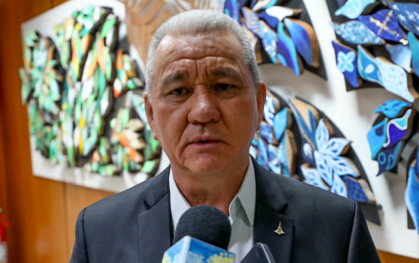 Macaque in the trees