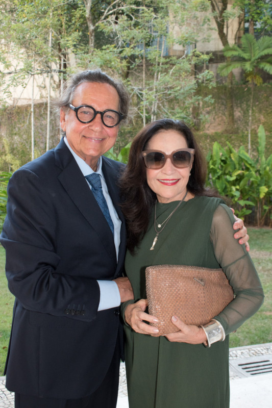 Macaque in the trees