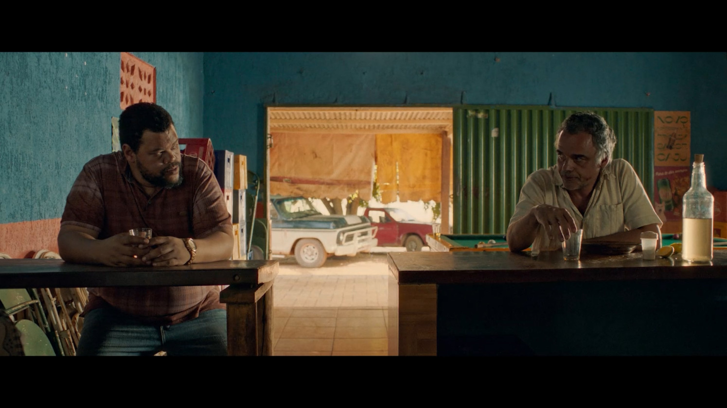 Macaque in the trees