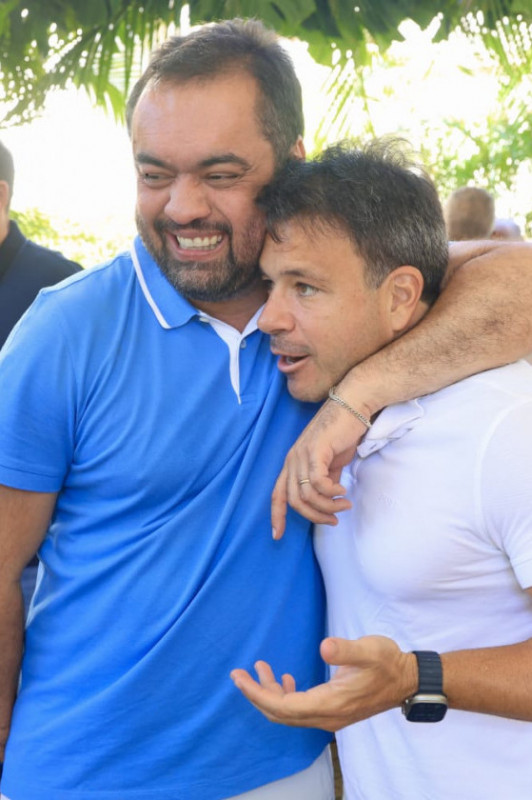 Macaque in the trees