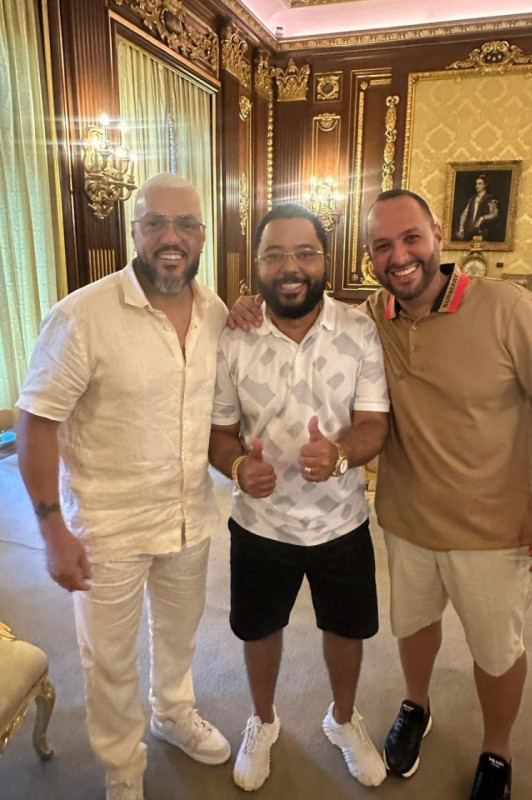 Macaque in the trees