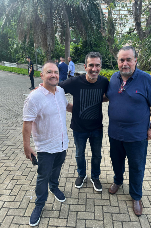 Macaque in the trees