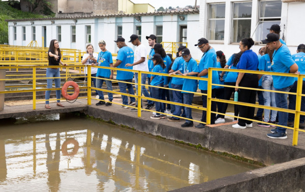 Macaque in the trees